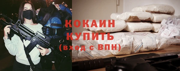 гашик Вязьма
