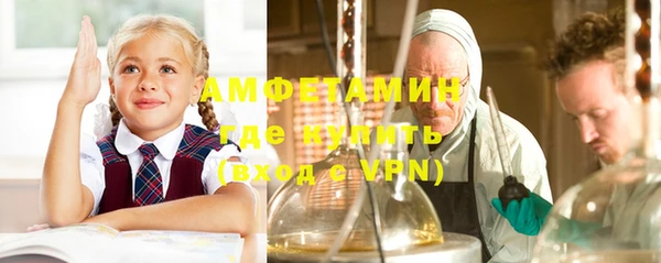 амф Вяземский