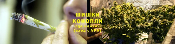 амф Вяземский