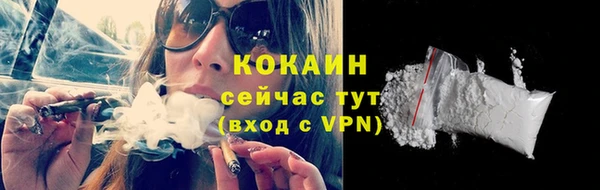гашик Вязьма