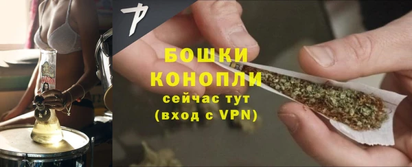 гашик Вязьма