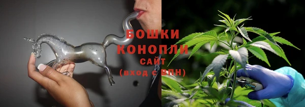 гашик Вязьма