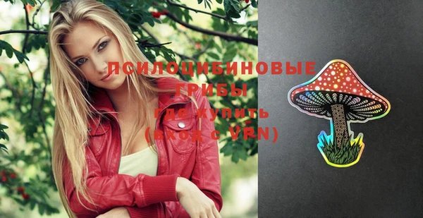 амф Вяземский
