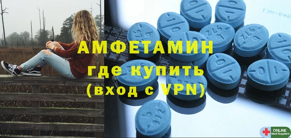 амф Вяземский